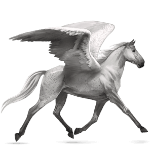 pegaso da corsa holstein grigio chiaro