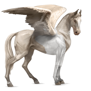 pegaso da corsa purosangue inglese baio