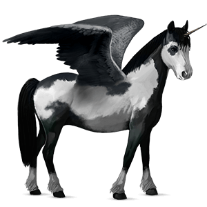 unicorno pony alato  nero