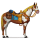 pony pianura
