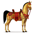 cavallo da corsa deserto
