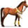 cavallo da corsa deserto