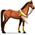 cavallo da corsa deserto