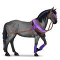 cavallo da tiro montagna
