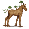 yggdrasil, cavallo speciale