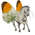 unicorno da corsa roano
