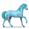 cavallo dell'arcobaleno lovely blue