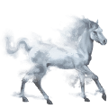 nebbia, cavallo d'acqua