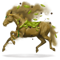 cardamomo, cavallo divino