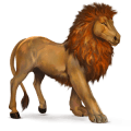 leone africano, cavallo selvaggio