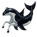 orca, cavallo selvaggio