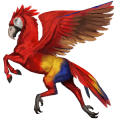 pappagallo, cavallo selvaggio