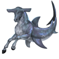 squalo martello, cavallo selvaggio