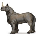 rinoceronte, cavallo selvaggio