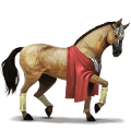 cavallo da corsa purosangue inglese grigio pezzato