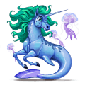 unicorno pony kerry bog nero