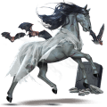 cavallo da tiro percheron grigio chiaro