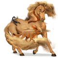 cavallo da corsa hanoverian baio scuro