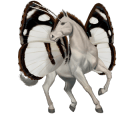 unicorno da corsa overo pinto castano