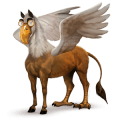 cavallo da corsa criollo argentino daino