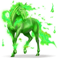 fuoco fatuo, cavallo divino