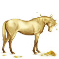 fortuna, cavallo errante