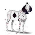 cavallo da corsa akhal-teke baio
