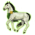 gemelli, cavallo divino