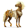 apollo, cavallo divino