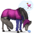 cavallo da corsa grigio chiaro