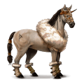 cavallo da corsa criollo argentino tobiano pinto baio chiaro