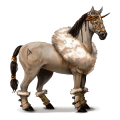 cavallo da corsa appaloosa manto nero
