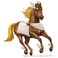 pony haflinger castano biondo platino