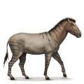 ippidio, cavallo preistorico
