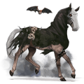 cavallo da corsa hanoverian baio