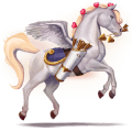 i love you, cavallo divino