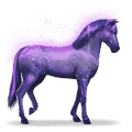cavallo dell'arcobaleno devoted indigo