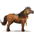 cavallo da corsa akhal-teke baio scuro