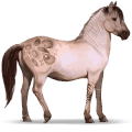 konik, cavallo selvaggio