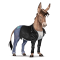 cavallo da tiro cavallo da parata tovero nero