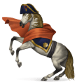 napoleone, cavallo errante