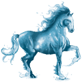 oceano, cavallo d'acqua