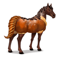 chocolatine, cavallo divino