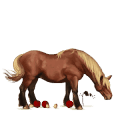 unicorno pony baio