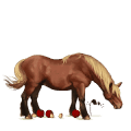 cavallo da corsa purosangue inglese baio scuro