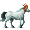 cavallo da corsa holstein grigio chiaro