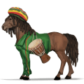 cavallo da corsa baio