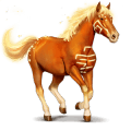 wikaïla, cavallo divino