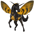pony mezzosangue belga castano scuro