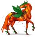 tè darjeeling, cavallo divino